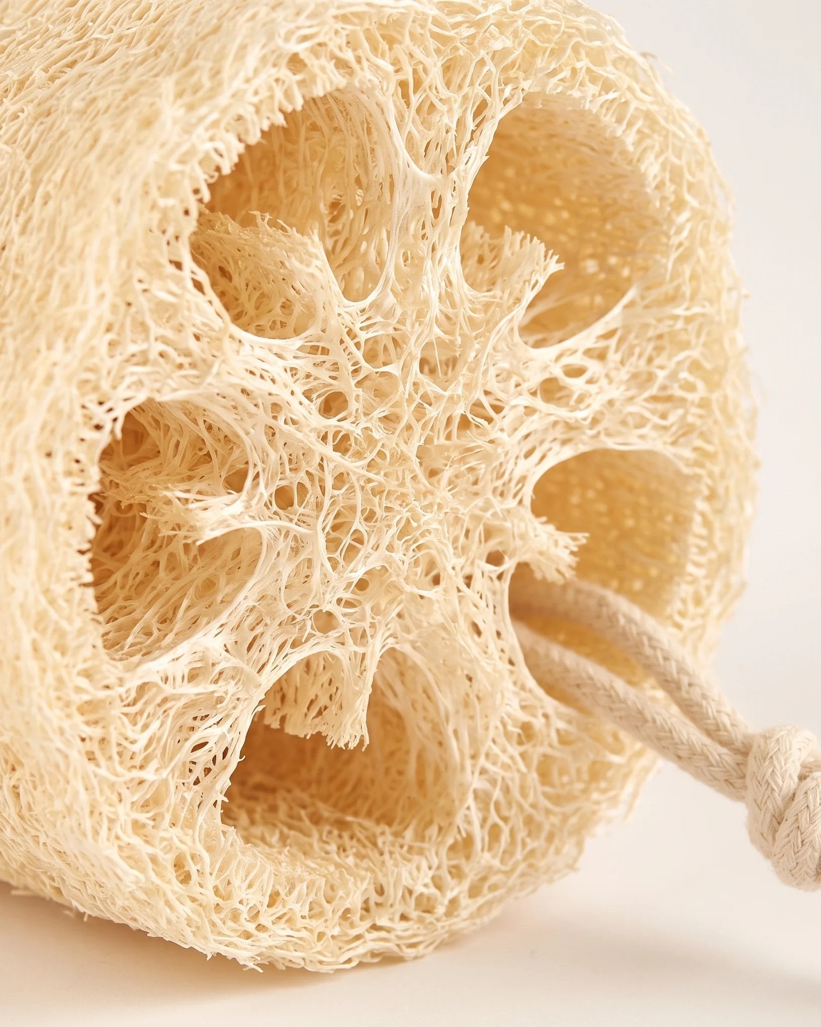Close up of the natural fiber network of the Kemet Egyptian loofah shower sponge