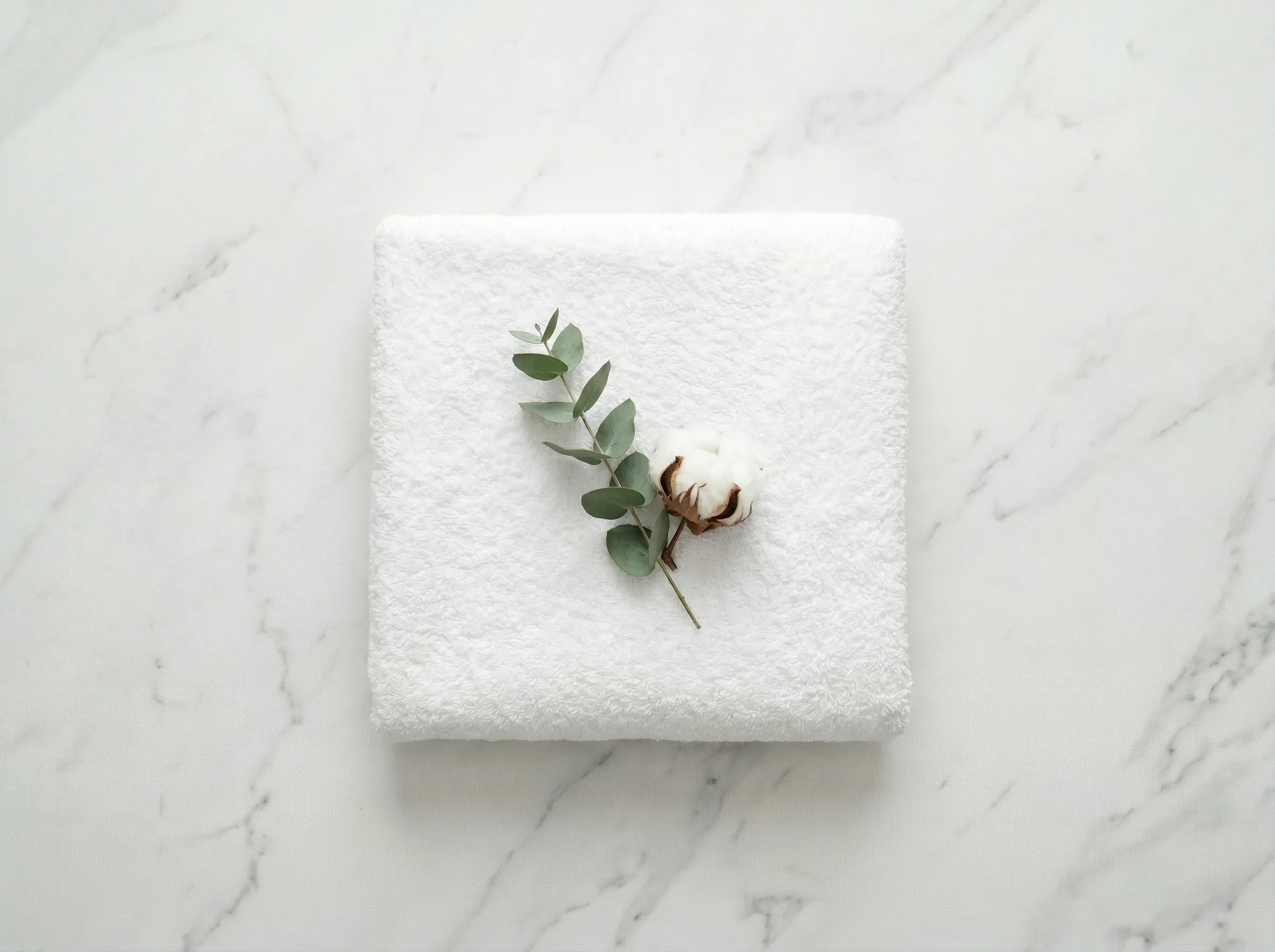 The gold standard of cleanliness